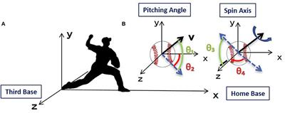 Influence of Release Parameters on Pitch Location in Skilled Baseball Pitching